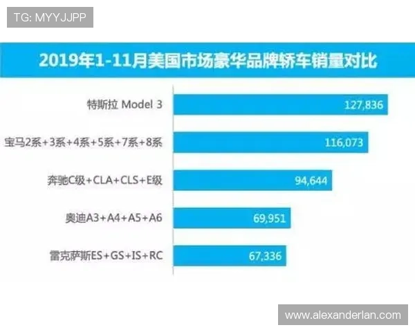 奔驰宝马下注风险控制与资金管理的全面指南，保障你的游戏安全