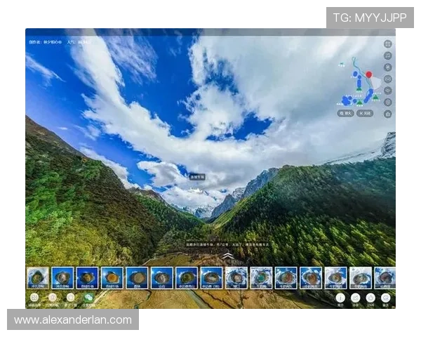 提升游戏体验的MG电子游戏技巧与策略,助你在激烈对战中脱颖而出