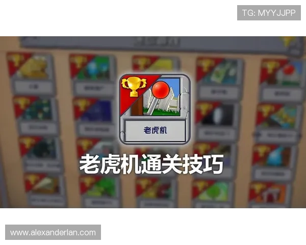 老虎机接线操作指南,详细介绍每个步骤的注意事项和技巧