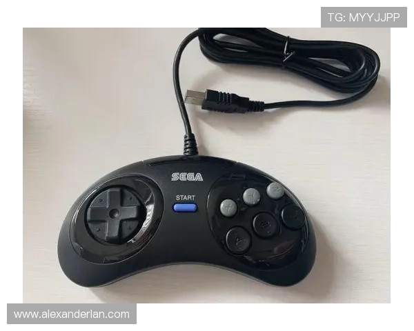 老虎机游戏机哪里有卖正规渠道购买安全保障详解